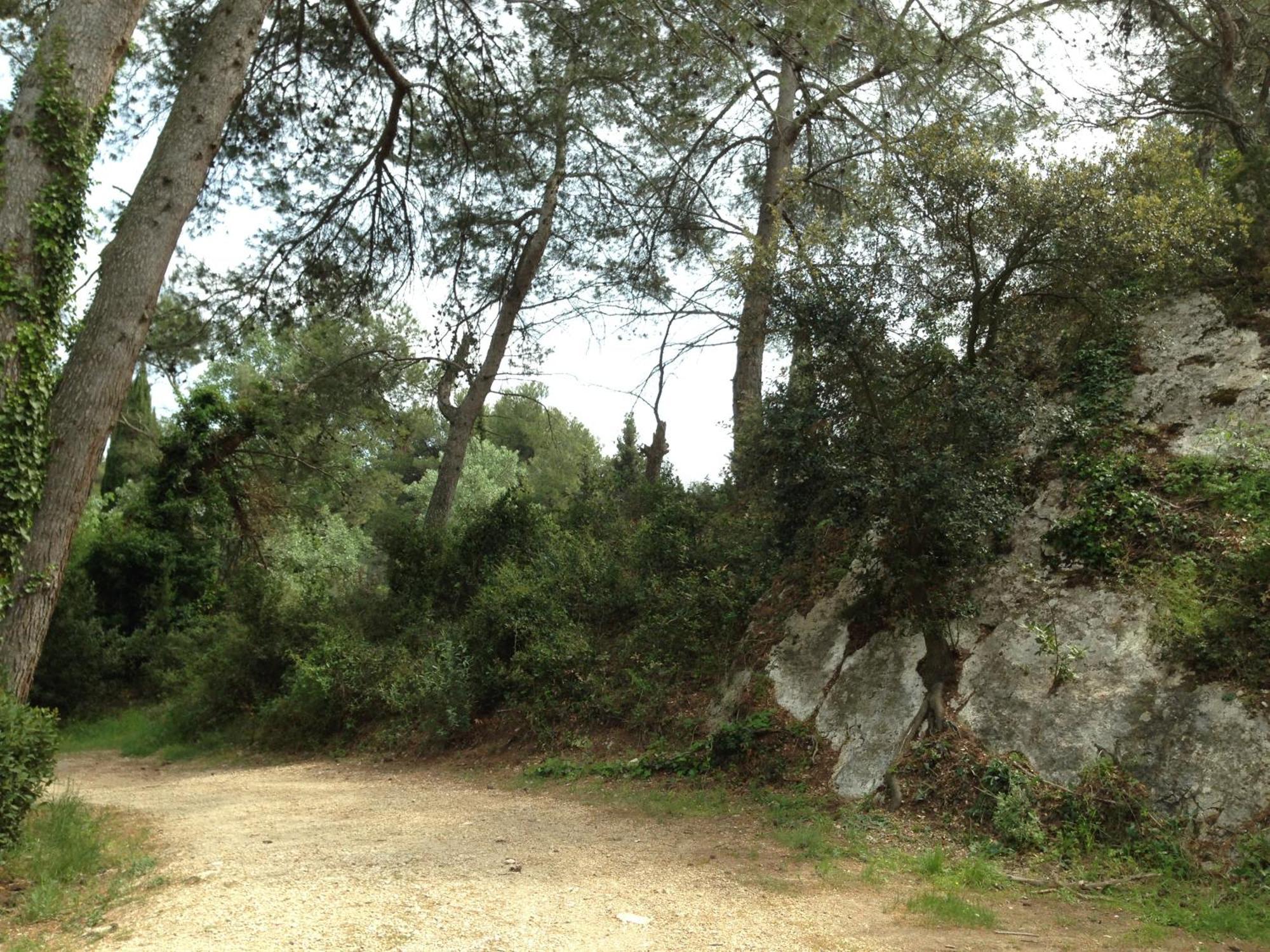Cabane De La Leque Fontvieille Eksteriør bilde