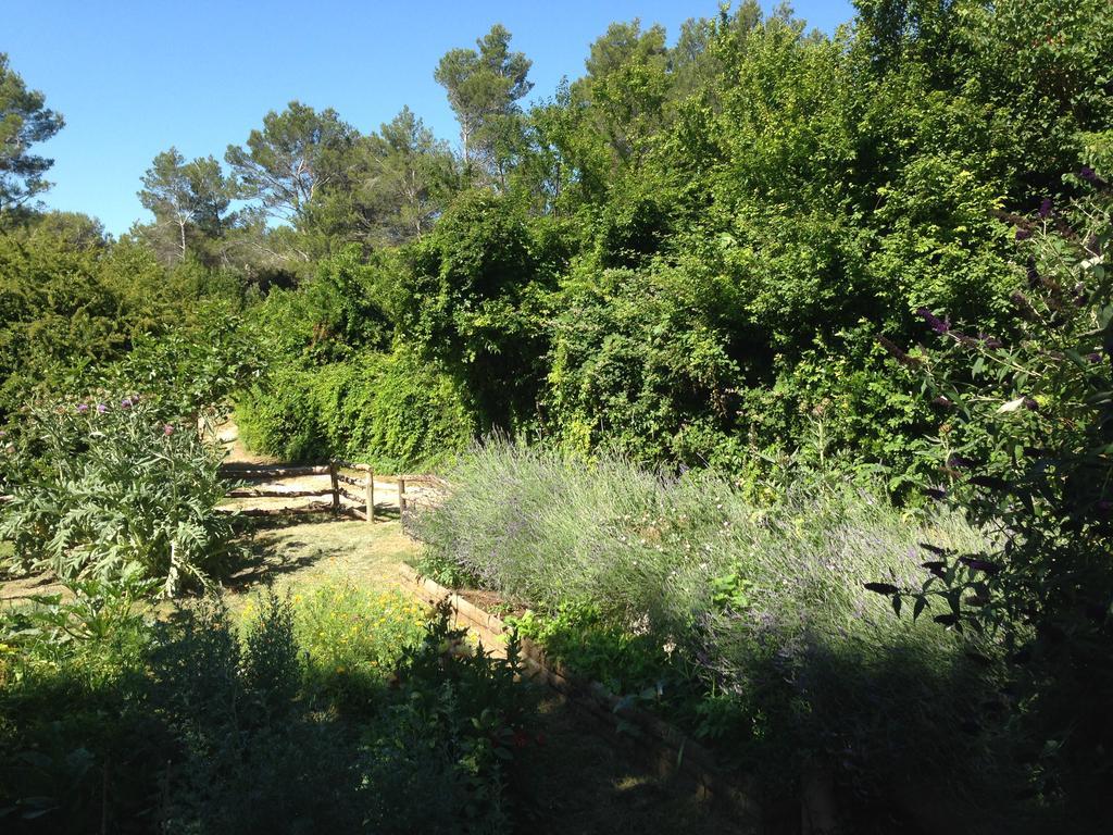 Cabane De La Leque Fontvieille Eksteriør bilde